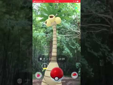 アローラナッシー迎えに行って来た(^ ^) ポケモンGO