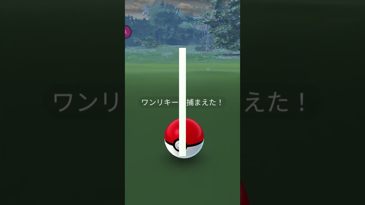 #shorts◇ちっちゃいワンリキー ちっちゃいのが出ると困る【ポケモンGO】#586
