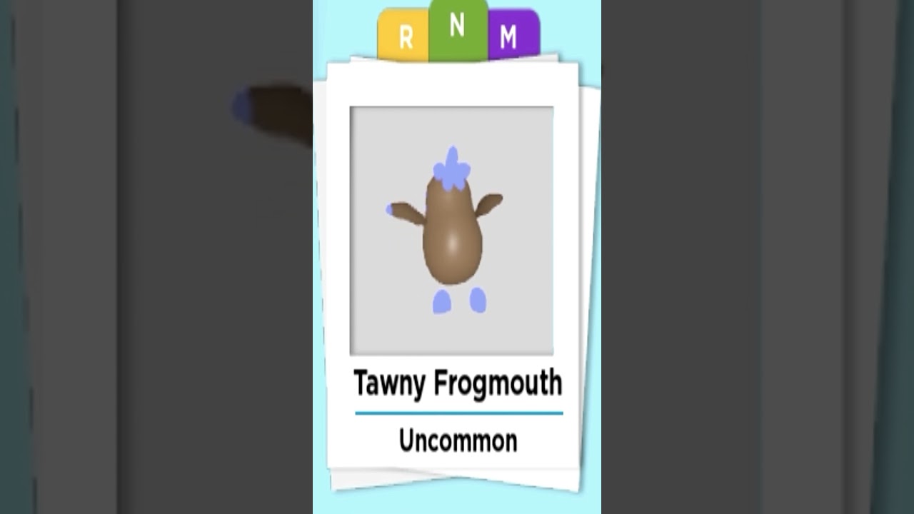 Tawney Frogmouth Neon & Mega Neon in Adopt me #shorts