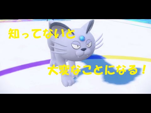 アローラペルシアン、実は起点作成もしながら物理受けのスペシャリスト！？【ポケモンSV】