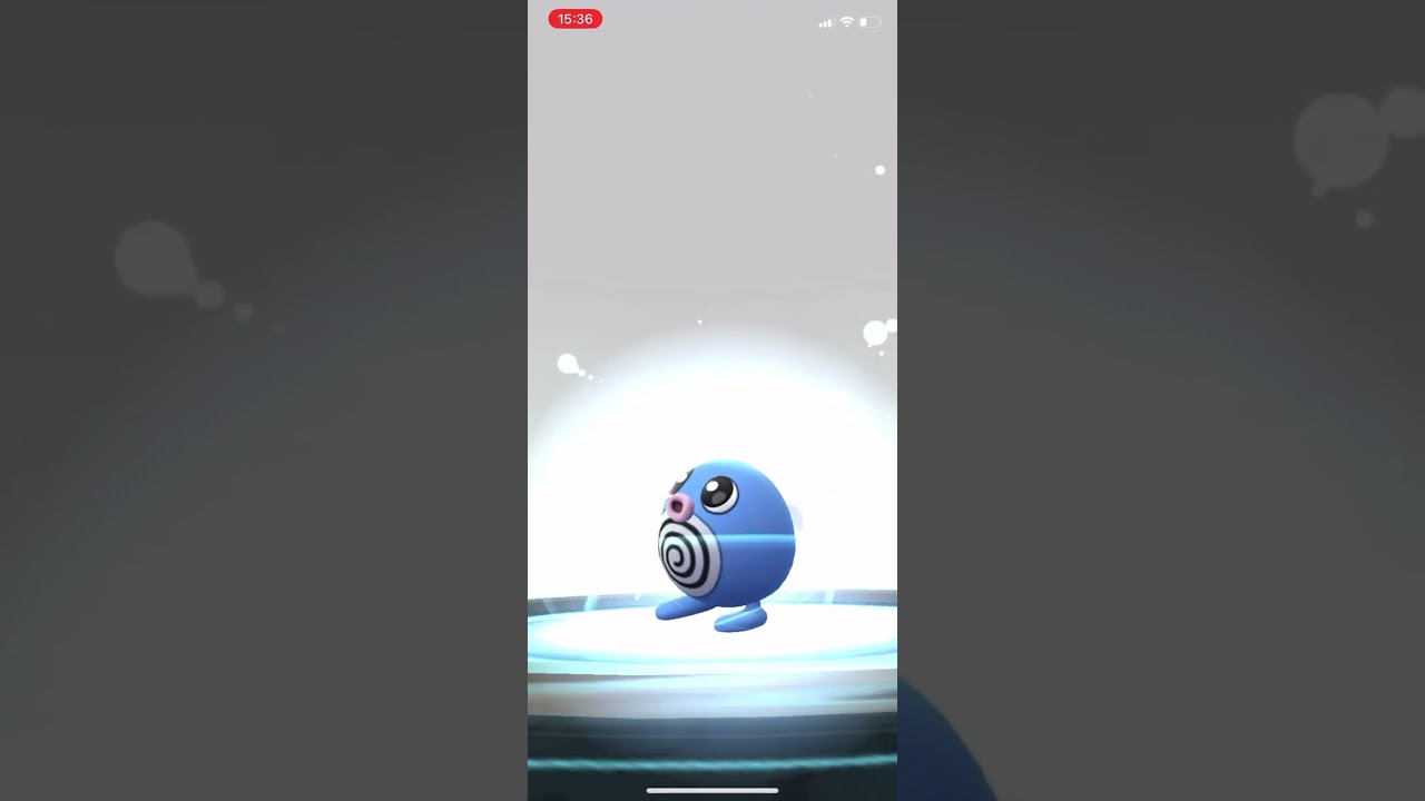 【ポケモンGO】色違いニョロゾへ進化させる！コミュニティデイ #shorts