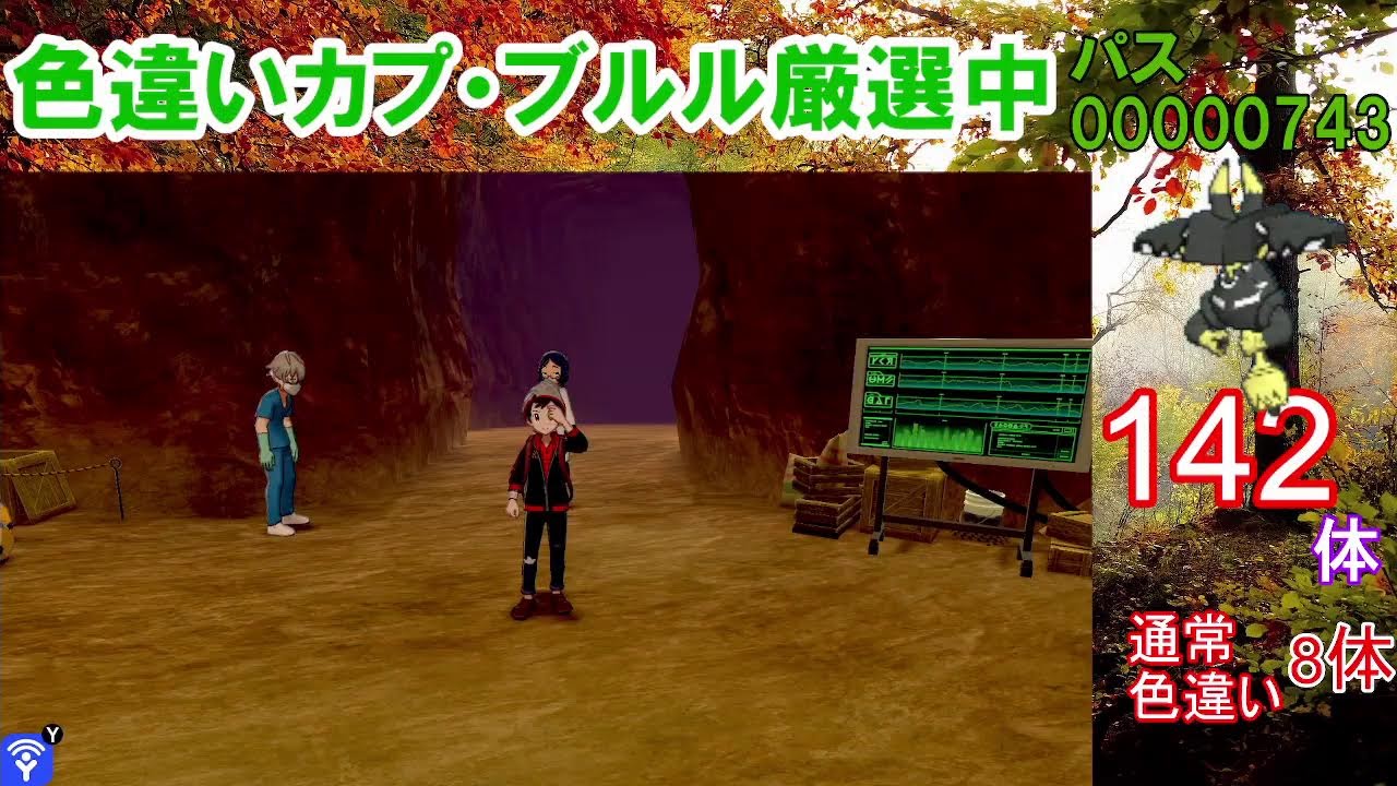 【ポケモン剣盾】カプ・ブルル色違い以外の色違いが出たら即配布！カプ・ブルル色厳選【ダイマックスアドベンチャー】