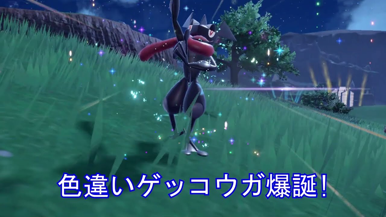 SV孵化厳選 色違いケロマツ→ゲコガシラ→ゲッコウガ