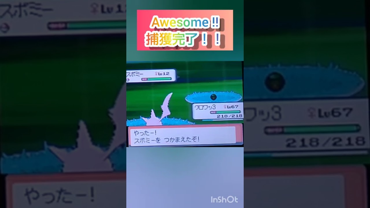 【ポケモンDP】色違い捕獲日記　94日目　スボミー　【PokémonDP】The diary Capturing shiny Pokémon's　Day94　Budew　#shorts