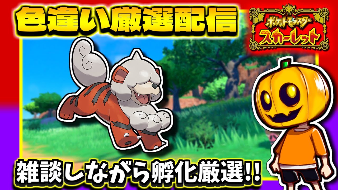 【ポケモンSV】開幕色違い出現!?オシャボ入り「ヒスイガーディ」の色違い孵化厳選しながら雑談配信!!【色違い厳選】【ポケモン】【ポケモンスカーレット】【色違い厳選】【色違いポケモン】