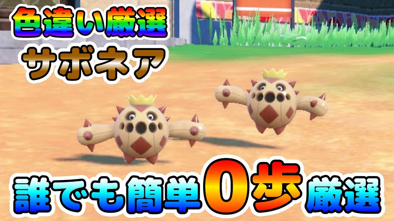 【ポケモンSV】サボネアの色違い厳選オススメ場所！大量発生無しでも効率◎！余った時間っで他のポケモンの厳選も出来る！【色厳選】