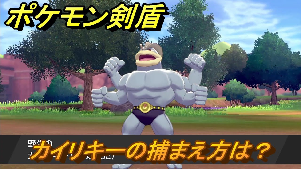 ポケモン剣盾　カイリキーを捕まえる方法！オススメの場所は？天気は？ポケモン図鑑コンプへの道！　最新版【ポケモンソード・シールド】
