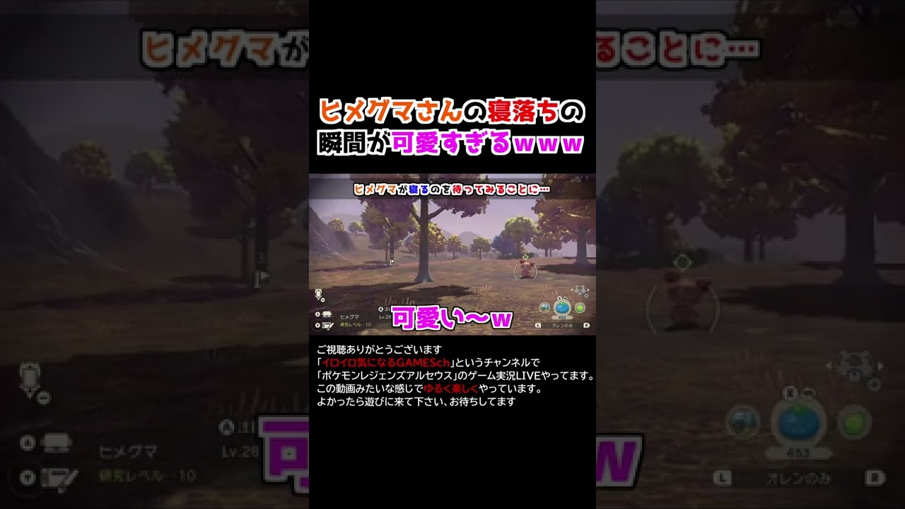 ヒメグマさんの「寝落ちの瞬間」が可愛すぎるww【Pokémon LEGENDS アルセウス】【寝顔ハンター】