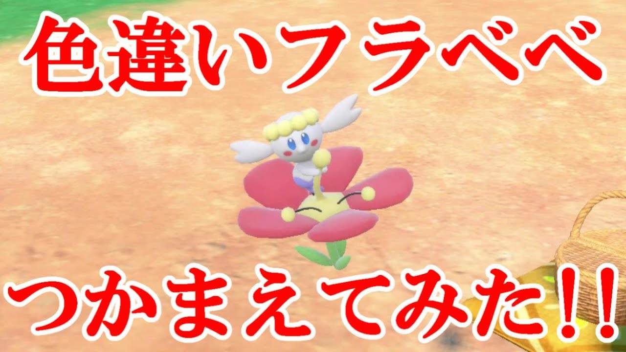 【ポケモンSV】色違いフラベベつかまえてみた！！