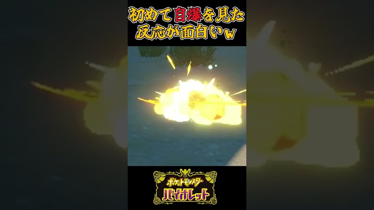 初めてビリリダマの自爆を見た反応が面白いw【ポケモンSV】#ポケモンsv #pokemon   #shorts