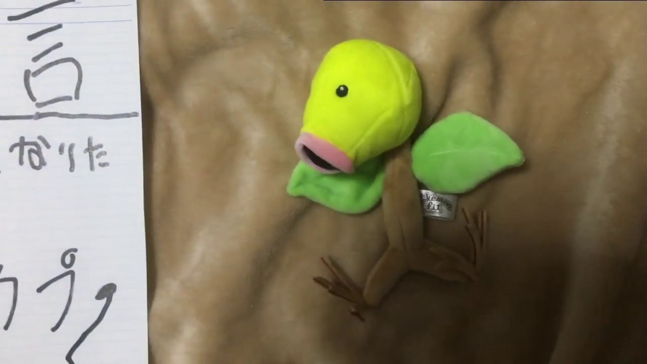 【ポケモンUSUM】マダツボミMAD