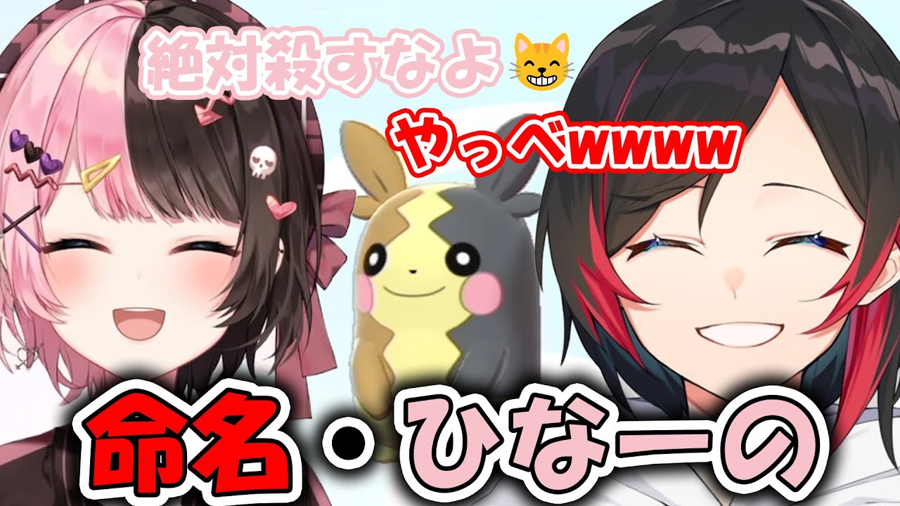 モルペコに「ひなーの」と名付けたら、コメントで本人にバレて焦るうるかｗｗｗｗ【ポケットモンスター ソード・シールド,うるか】