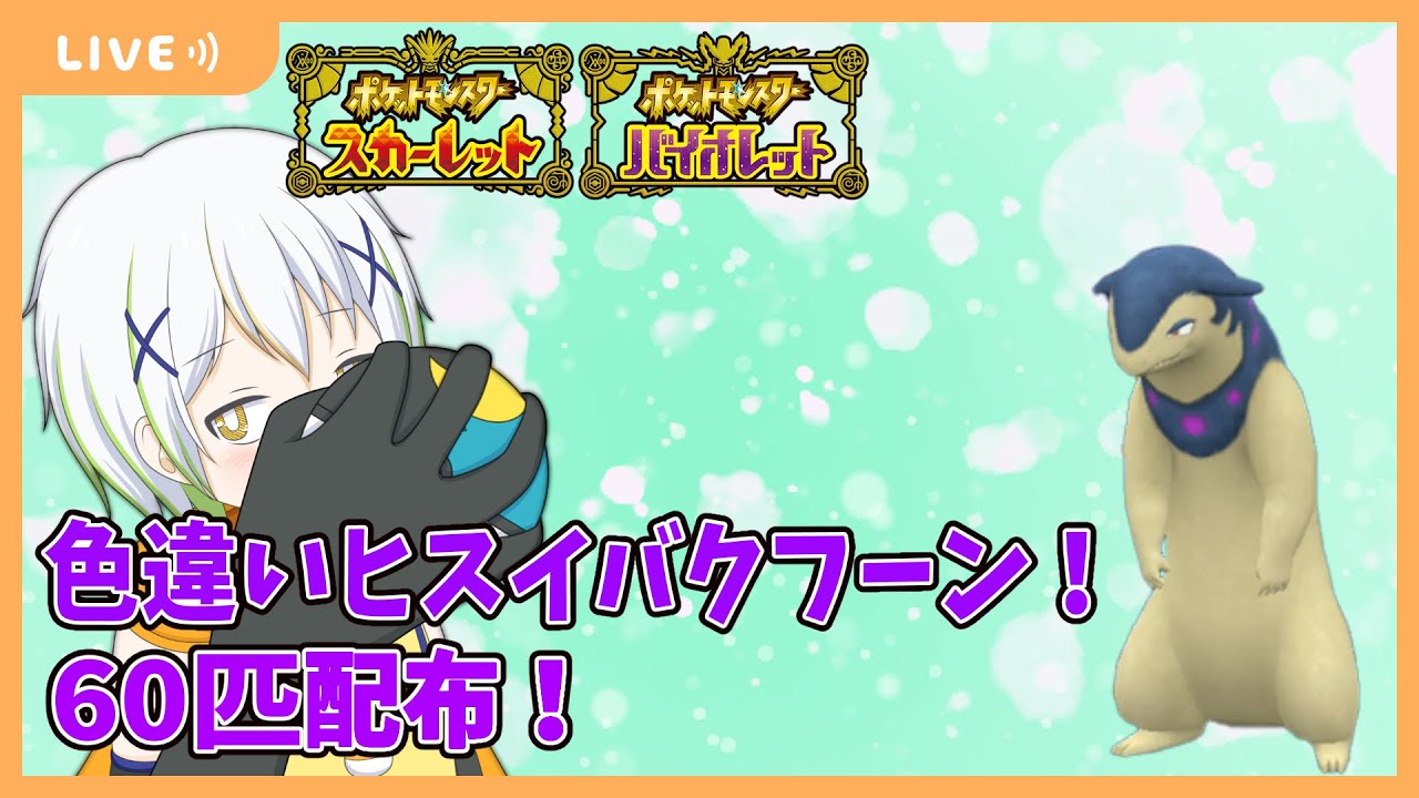 【ポケットモンスターSV】色違いヒスイバクフーン60匹配布！【Vtuber/ケロケロフロッピー】
