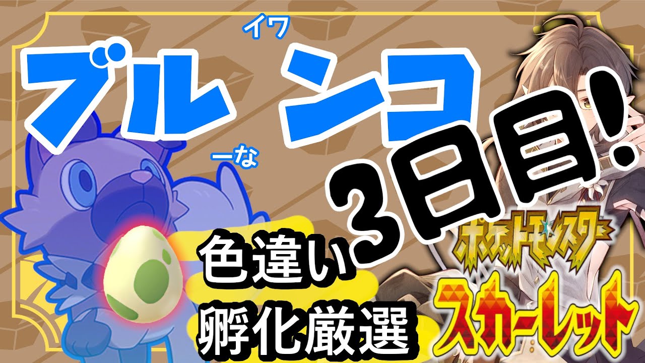 【新縛り！いわタイプ】今日でます！色違いイワンコ！【ポケモンSV】