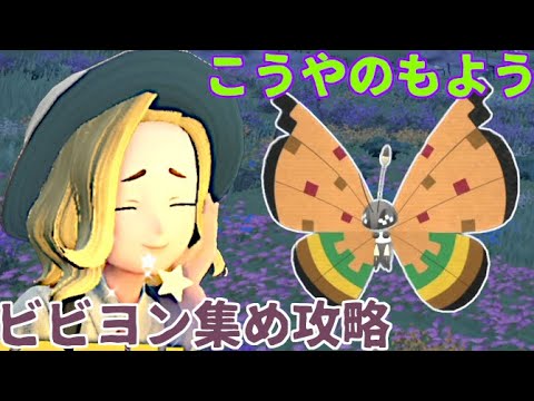 【ポケモンSV】ビビヨン集め攻略 第八弾！ 西部劇の舞台「こうやのもよう」 #62