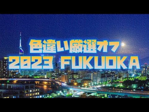 色違い厳選オフ会！！in福岡_day2_20230827