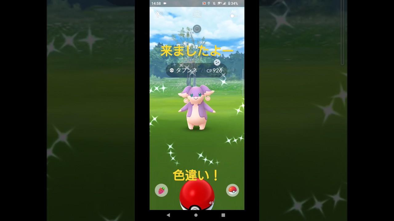 ポケモンGO！タブンネ色違い！ #ポケモンgo