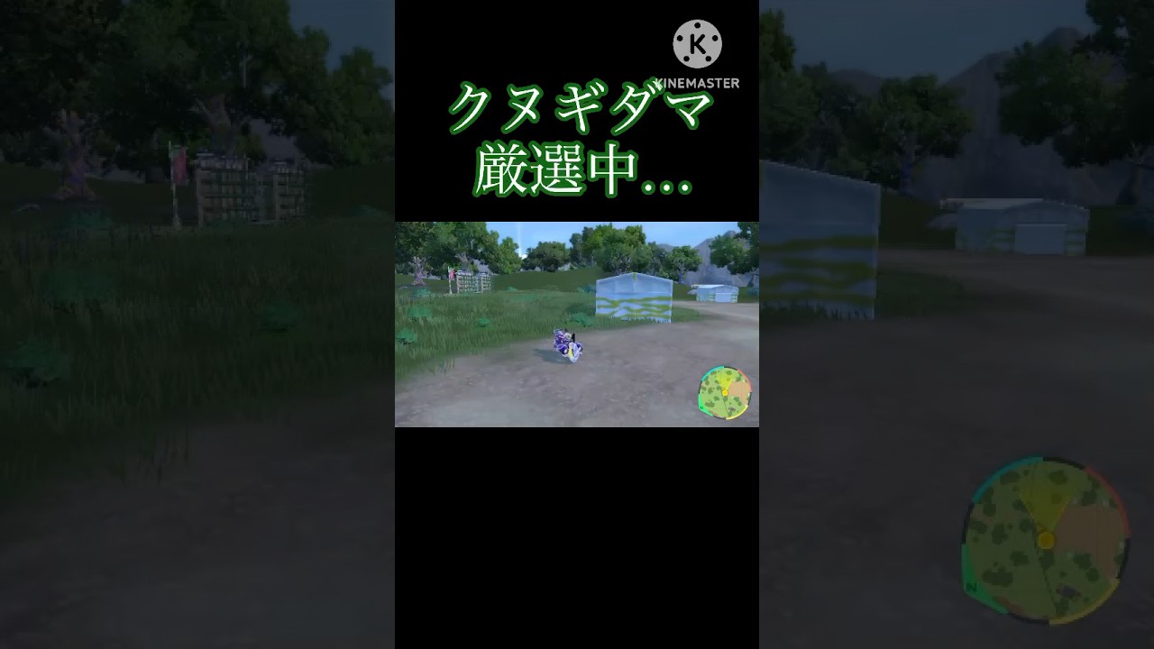 MAD中毒者が色違いを見落とした時の脳内情景　#ポケモンsv