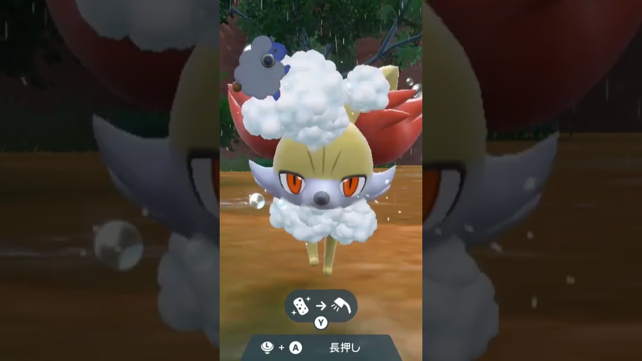 フォッコ【ポケモンsv】