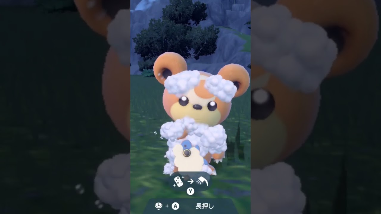 ヒメグマ【ポケモンsv】