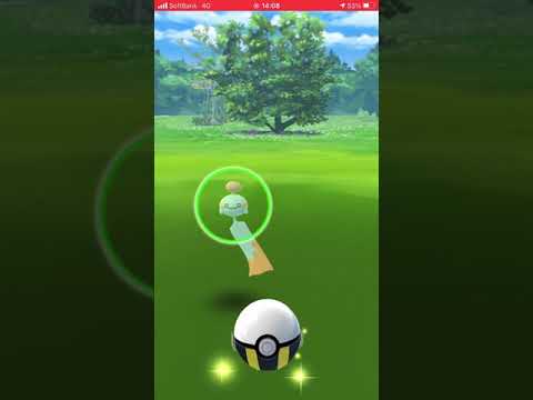 【ポケモンGO】色違い　チリーン
