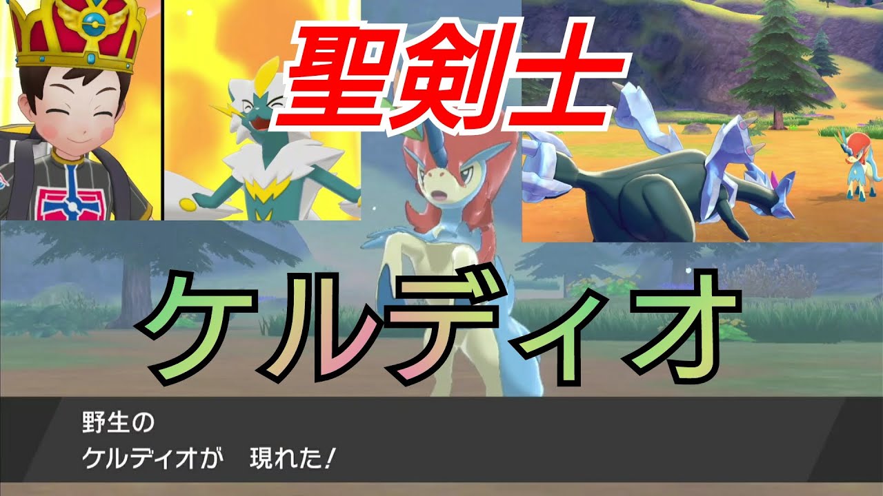 【幻のポケモン】聖剣士ケルディオがカレー作りで出現！？そして、バトル＆ゲット！キュレムVS聖剣士ケルディオ ポケモン剣盾/ポケモンソードシールド【冠の雪原】ポケモン25周年 Pokémon