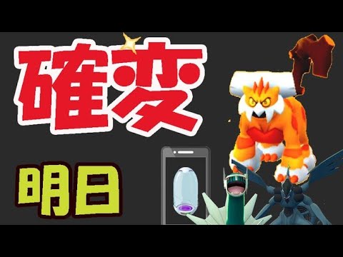 【ポケモンGO】今朝から変化が起きている!?霊獣ランドロスの〇〇最低ライン【明日の準備】