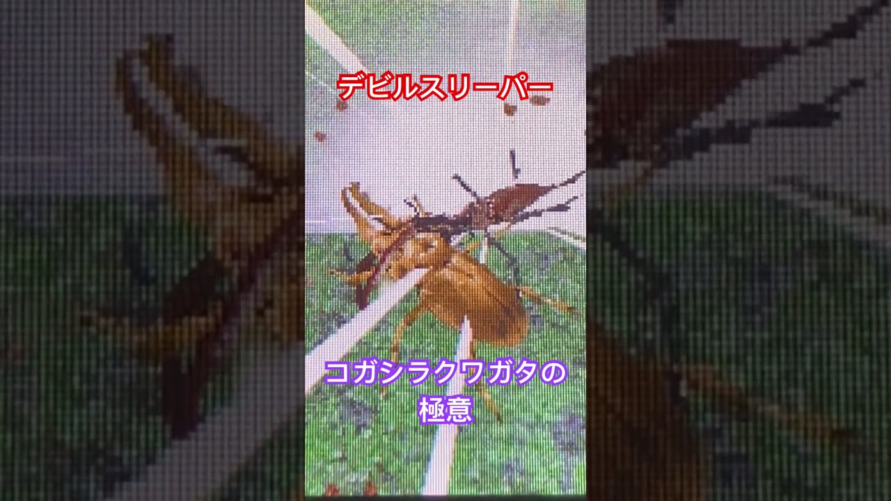 ムシキング　コガシラクワガタ　デビルスリーパー
