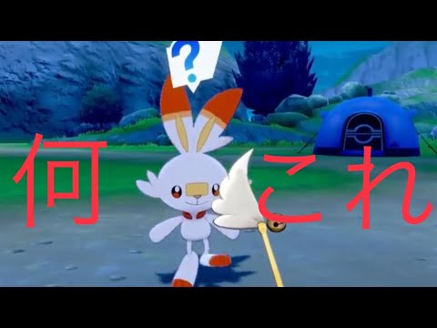 [ポケモン剣盾] ヒバニーの気持ち