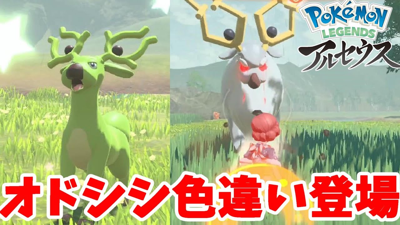 ヒスイポケモンの色違いに大興奮！色違いライドきたー！！【ポケモンレジェンズアルセウス】