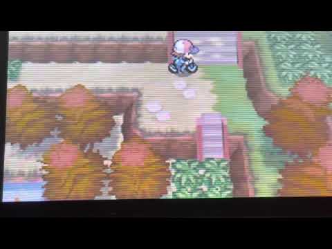 【ポケットモンスターブラックホワイト】ビリジオンを発見‼︎