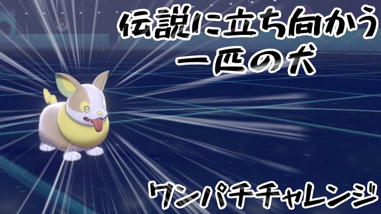 【ポケモン剣盾】禁止伝説に立ち向かう一匹の子犬・ワンパチチャレンジ【ダブルバトル】
