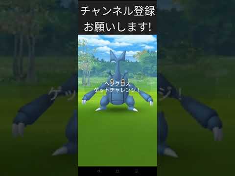 ［ポケモンGO］ヘラクロス色違いチャレンジ!#ポケモンgo #shorts
