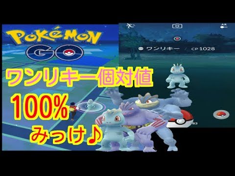 【ポケモンGO】なんと個対値100%ワンリキー発見！！【PokemonGO】