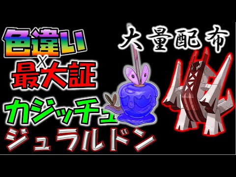 🎁色違い・最大証ジュラルドン・カジッチュ配布　進化するとブリジュラス・カミッチュに SHINY RAIDS【ポケモン剣盾】