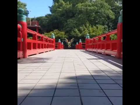 심보러 ( Sigilyph ) シンボラー ( 象徵鳥 )