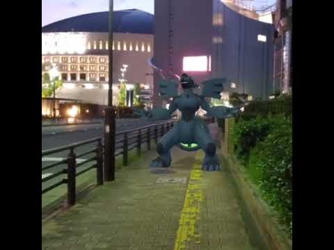 제크로무 ( Zekrom ) ゼクロム ( 捷克羅姆 )