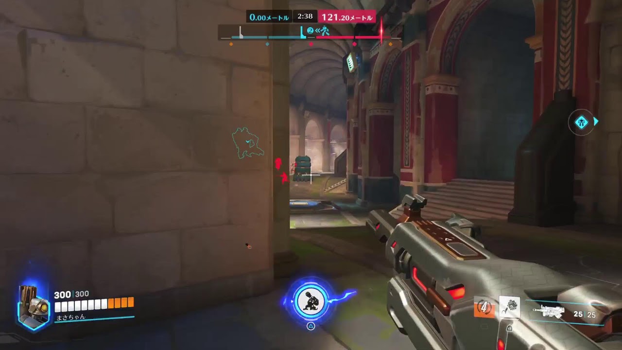 ラフレシアOverwatch🌃💎