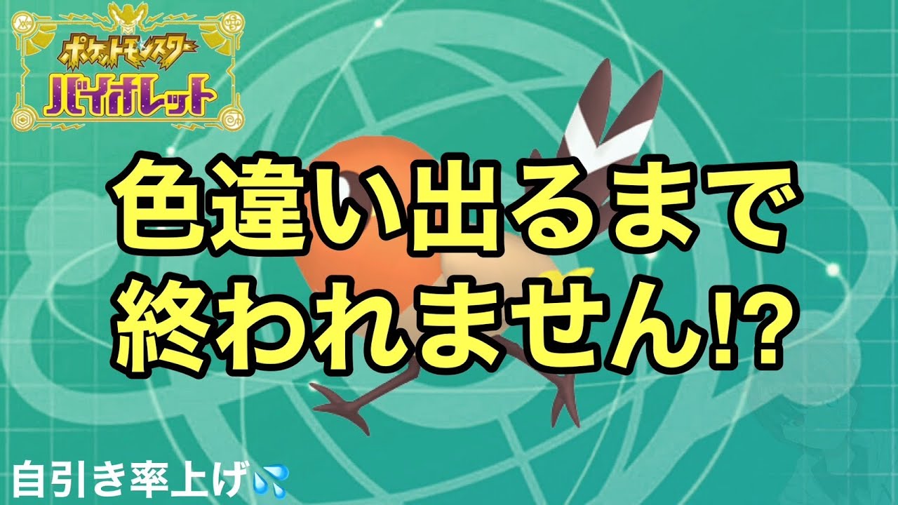 色違い出るまで終われません💦 色違い自引き率上げてくぞ‼