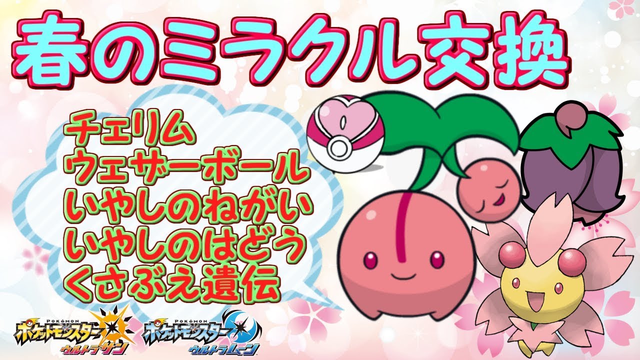 【ポケモンUSUM】ミラクル交換チェリンボ２ボックスNNつきあり【女性実況】【初見さん歓迎】