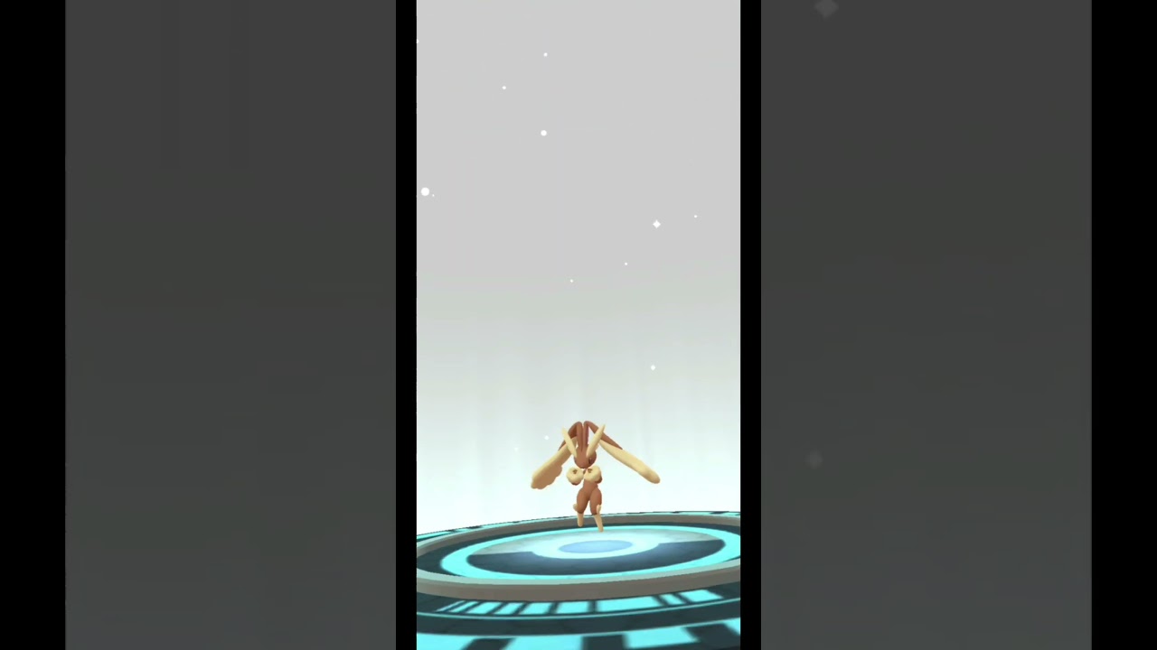 Hundo Buneary evolves into... #lopunny #pokemon #pokemongo #hundo #sinnoh #normal #mega #100 #bunny