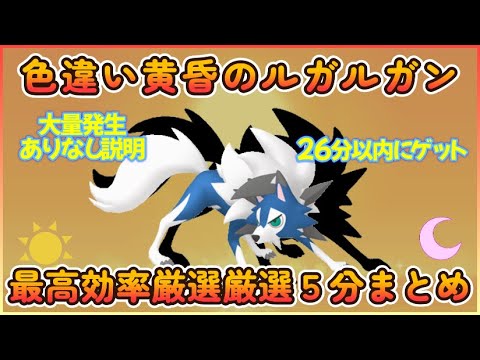 色違いたそがれのルガルガン最高効率平均26分でゲット大量発生なし #ポケモンsv #最高効率 #色違い #ルガルガン #たそがれ #大量発生なし #ピクニックなし #大量発生あり