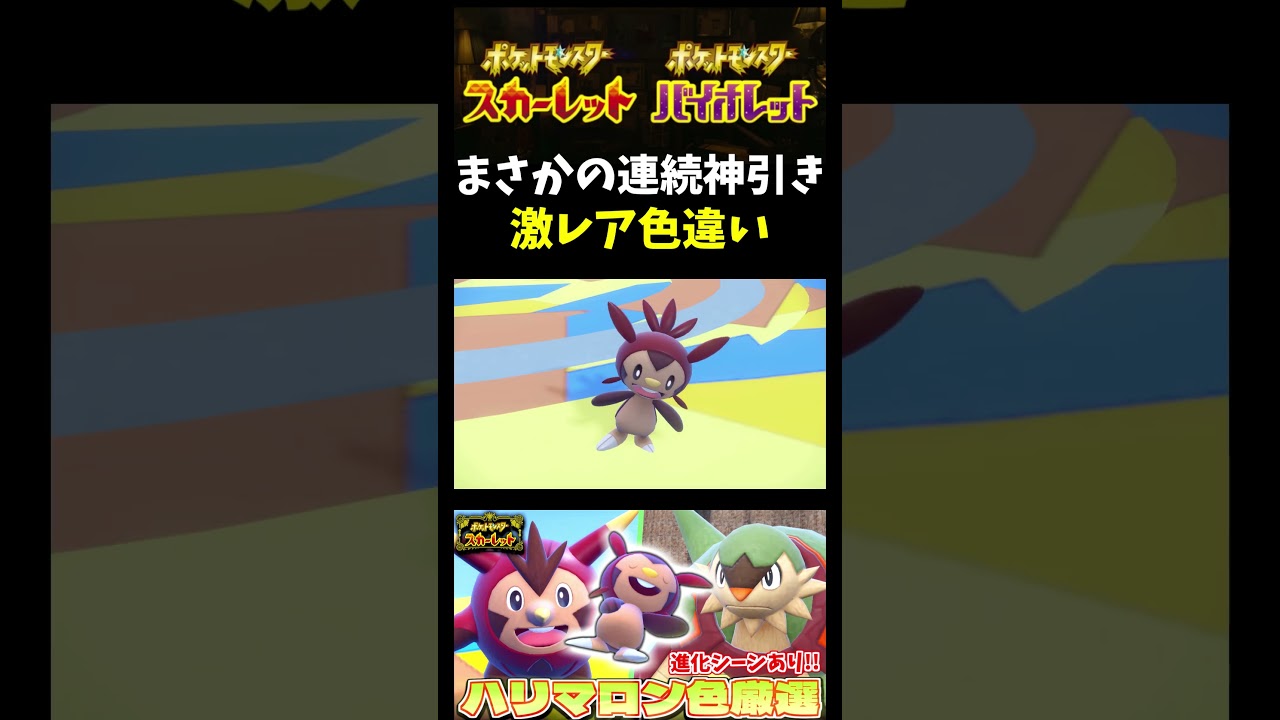 【ポケモンSV】連続で神引き!? 低確率の御三家女の子色違いがまさかのハリマロン孵化厳選で出現ｗ【スカーレット】【ポケモン】【切り抜き】【色違い厳選】【色違いポケモン】#shorts