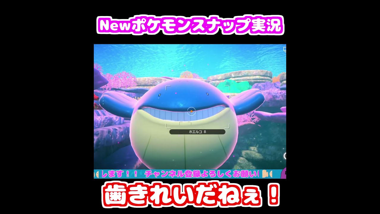 【Newポケモンスナップ】ホエルコ、とんでもなく歯が白い　#shorts
