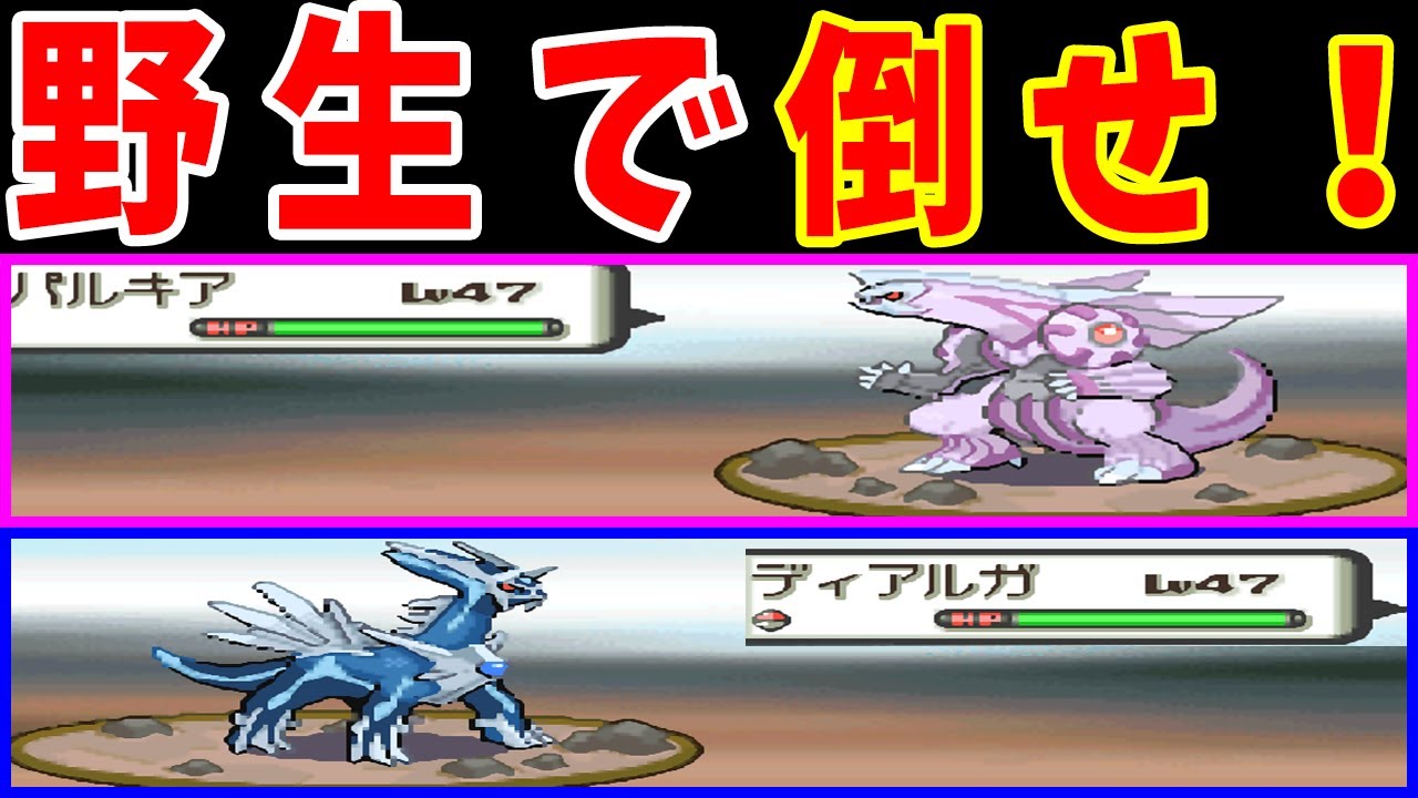 テンガン山の野生ポケモンで『ディアルガ』と『パルキア』を倒せるのか？【ゆっくり実況】【ポケモンDP】