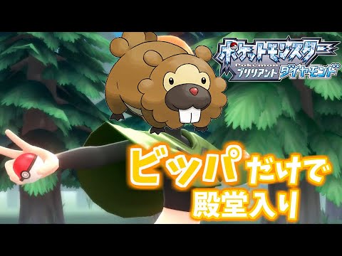 ビッパ最強！ビッパ最強！【ポケモンBDSP】