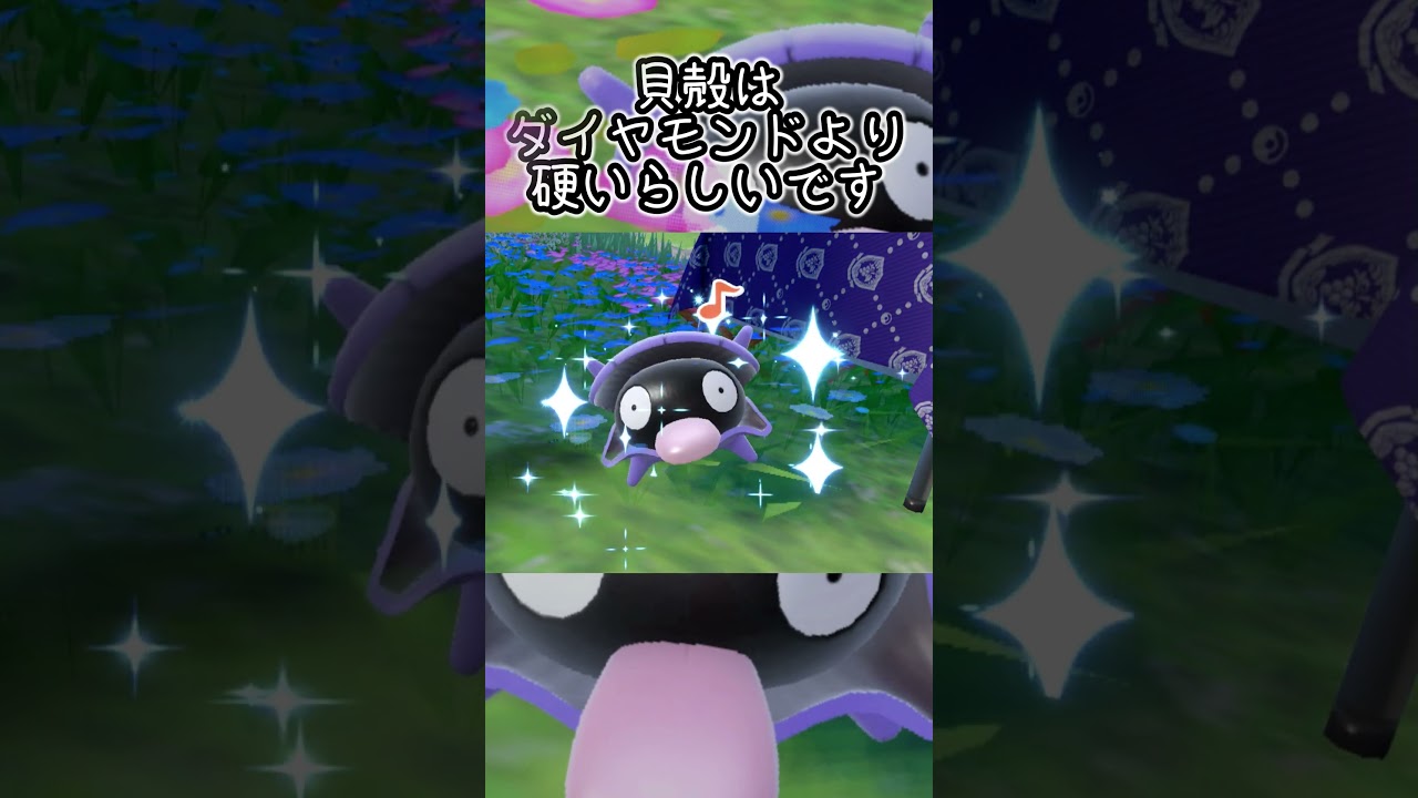 【疲れた人向け】シェルダー6匹とピクニック【ポケモンSV】#Shorts