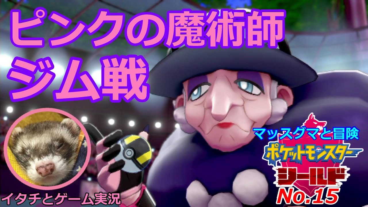 【ポケモン盾】マッスグマと冒険No.15【ピンクピンクピンク】