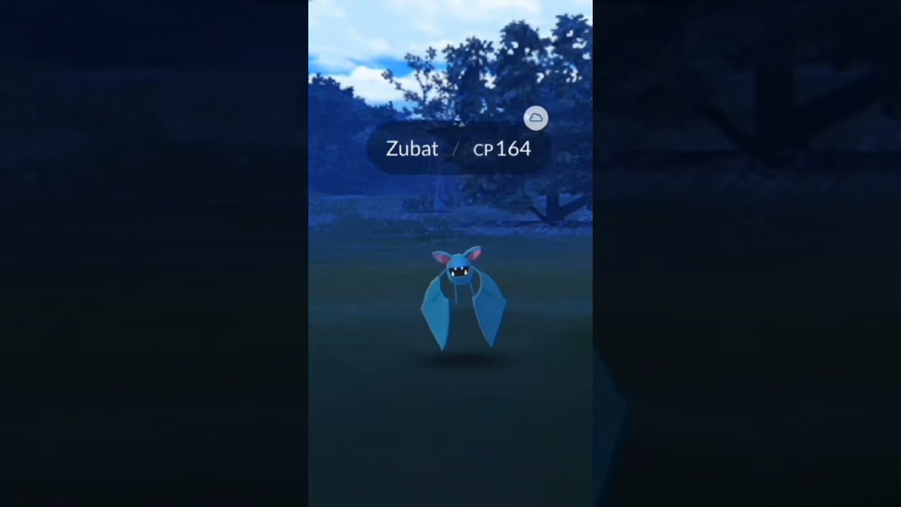 Catch Zubat Pokemon#Zubat Pokemon
