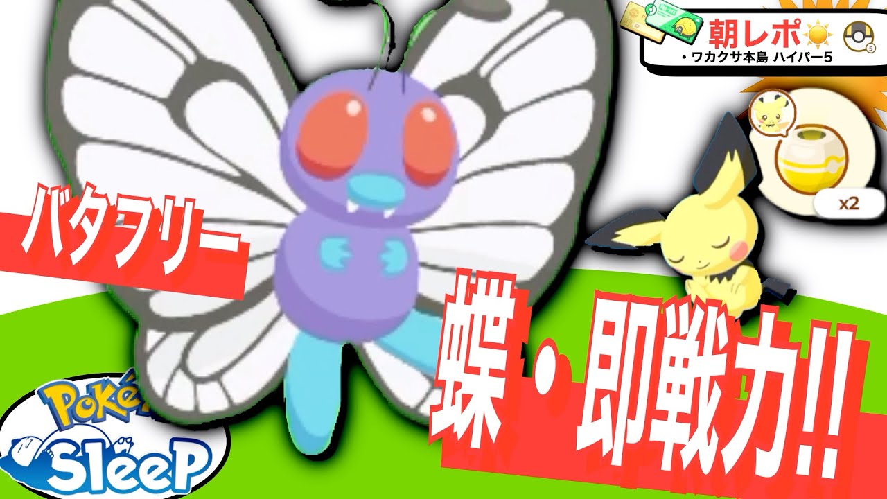 グッドスリープデーのパワー絶大！バタフリー【ポケモンスリープ】